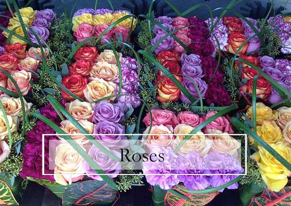 SF-Banner-12 Roses, Fresh Flowers, Florist Bradenton Florida