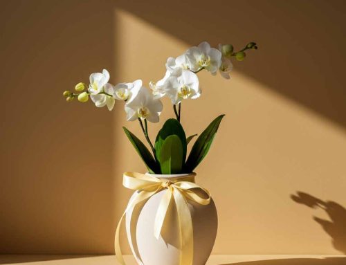 Administrative Professionals Day Flowers and Plants are Crafted to Express Gratitude and Appreciation