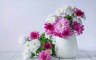 A bouquet of beautiful chrysanthemum flowers in a white vase on a white wooden table