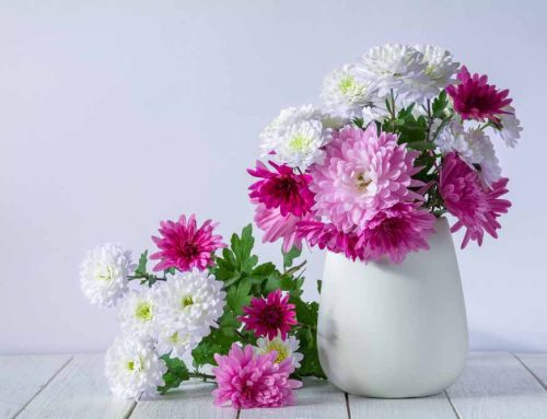 Mother’s Day Flower Arrangements Bring Joy and Beauty to the Celebration