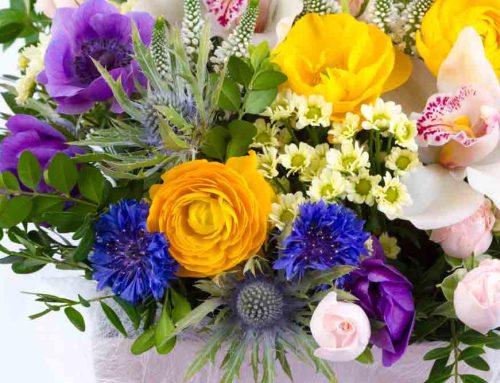 Make the Graduate’s Big Day More Memorable with a Graduation Flower Bouquet